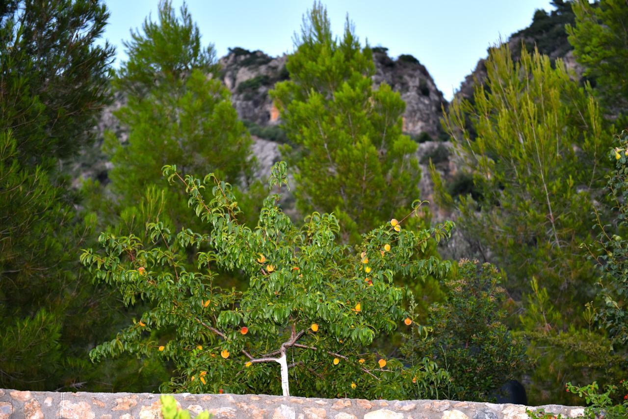 Bay View Guesthouses Καλαμάτα Εξωτερικό φωτογραφία